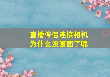 直播伴侣连接相机为什么没画面了呢