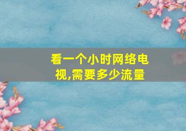 看一个小时网络电视,需要多少流量