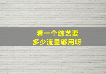 看一个综艺要多少流量够用呀