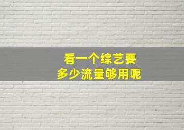 看一个综艺要多少流量够用呢