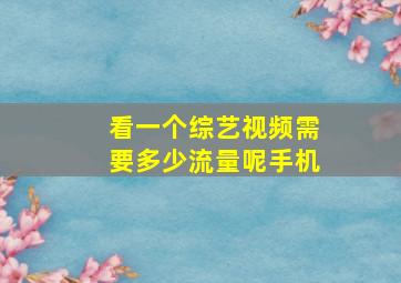 看一个综艺视频需要多少流量呢手机