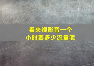 看央视影音一个小时要多少流量呢