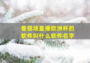 看现场直播欧洲杯的软件叫什么软件名字