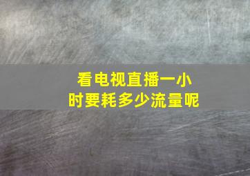 看电视直播一小时要耗多少流量呢