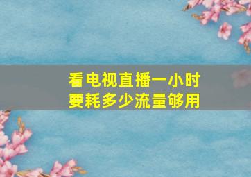 看电视直播一小时要耗多少流量够用