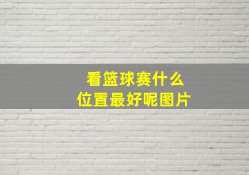 看篮球赛什么位置最好呢图片