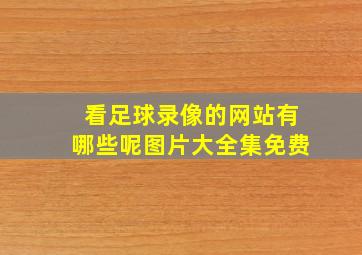 看足球录像的网站有哪些呢图片大全集免费