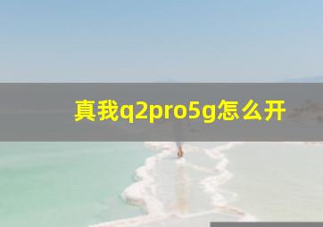 真我q2pro5g怎么开