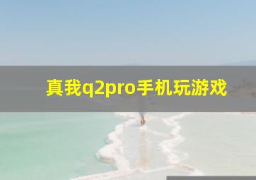 真我q2pro手机玩游戏