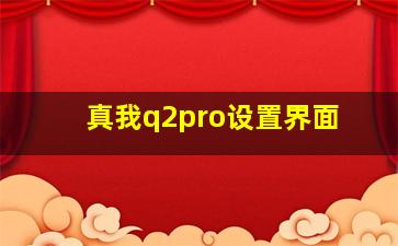 真我q2pro设置界面