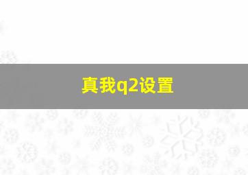 真我q2设置