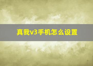 真我v3手机怎么设置