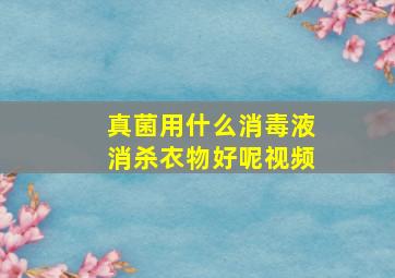 真菌用什么消毒液消杀衣物好呢视频