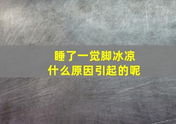 睡了一觉脚冰凉什么原因引起的呢