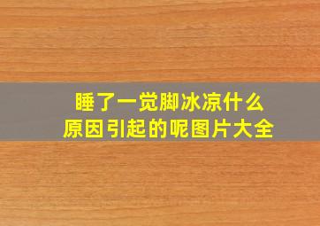 睡了一觉脚冰凉什么原因引起的呢图片大全