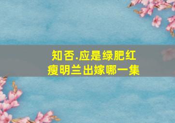 知否.应是绿肥红瘦明兰出嫁哪一集