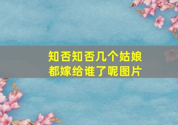 知否知否几个姑娘都嫁给谁了呢图片