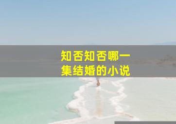 知否知否哪一集结婚的小说