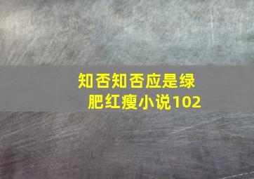 知否知否应是绿肥红瘦小说102