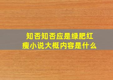 知否知否应是绿肥红瘦小说大概内容是什么