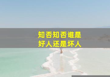 知否知否谁是好人还是坏人