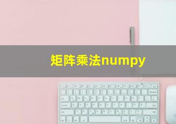 矩阵乘法numpy