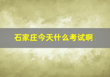 石家庄今天什么考试啊