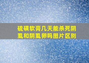 硫磺软膏几天能杀死阴虱和阴虱卵吗图片区别