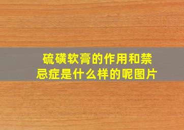 硫磺软膏的作用和禁忌症是什么样的呢图片