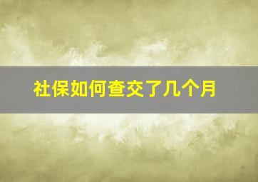 社保如何查交了几个月