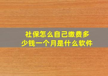 社保怎么自己缴费多少钱一个月是什么软件