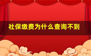 社保缴费为什么查询不到