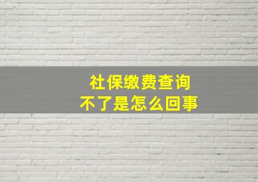 社保缴费查询不了是怎么回事