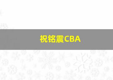 祝铭震CBA