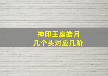 神印王座皓月几个头对应几阶