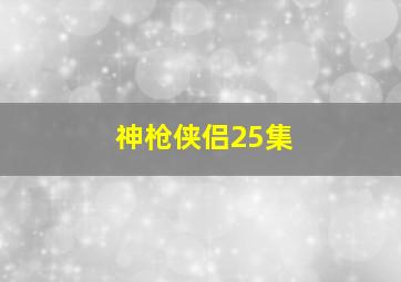 神枪侠侣25集