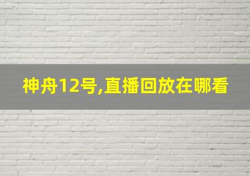 神舟12号,直播回放在哪看