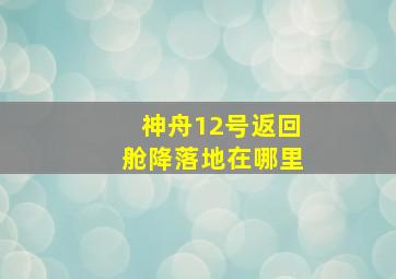 神舟12号返回舱降落地在哪里