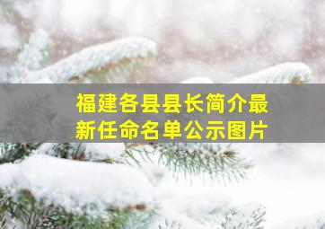 福建各县县长简介最新任命名单公示图片