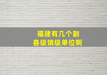 福建有几个副县级镇级单位啊