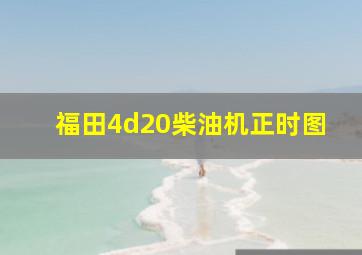 福田4d20柴油机正时图