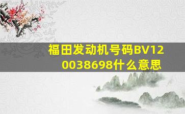 福田发动机号码BV120038698什么意思