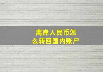 离岸人民币怎么转回国内账户