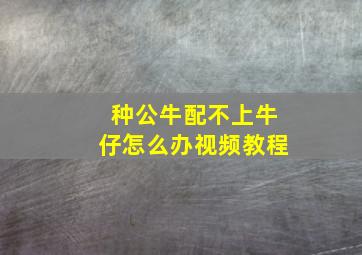 种公牛配不上牛仔怎么办视频教程