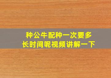 种公牛配种一次要多长时间呢视频讲解一下