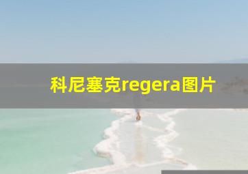 科尼塞克regera图片