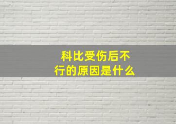 科比受伤后不行的原因是什么