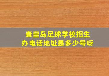 秦皇岛足球学校招生办电话地址是多少号呀