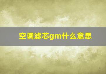 空调滤芯gm什么意思