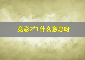 竞彩2*1什么意思呀